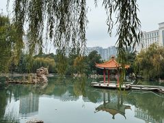 -西苑公园