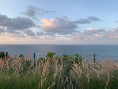 -Rock Bar Bali(Bali)