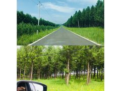 -塞罕坝国家级自然保护区