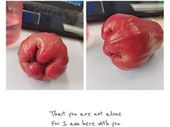 -水果地带(中航国际店)