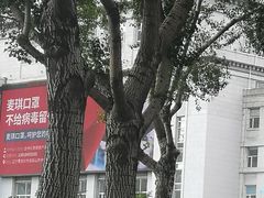 -和平大戏院(工人文化宫店)