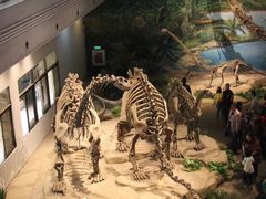 -自贡恐龙博物馆