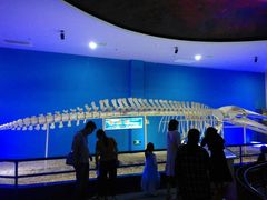 -福州罗源湾海洋世界旅游区