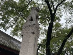 -西安碑林博物馆