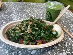 -油梨树AVOCADO TREE(望京店)
