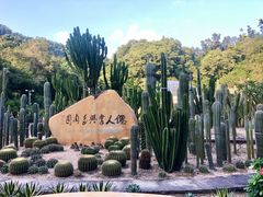 -深圳仙湖植物园
