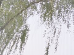 -上海月湖雕塑公园