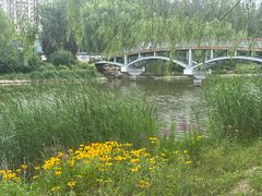 -马家湾湿地公园