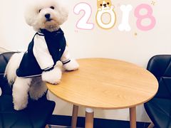 -小尾巴宠物店(万科·金域华庭店)