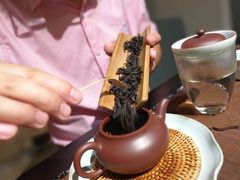 -诗宇时光茶艺书法古琴培训