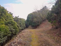 -平湖九龙山旅游度假区