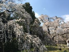 -醍醐寺