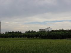 -上海长兴岛郊野公园