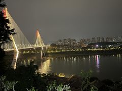 -大渡口区义渡公园