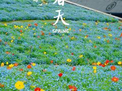 -上海辰山植物园