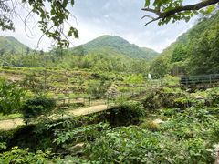 -藏龙百瀑风景区