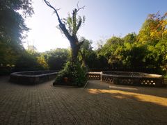 -习家池