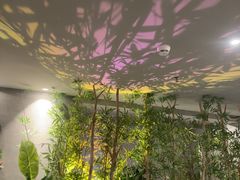 -施奈儿.洗头頭療.按摩SPA.采耳(上梅林店)