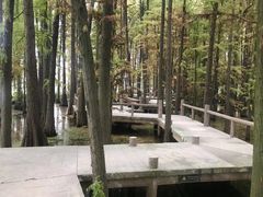 -东湖落雁景区