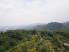 -南京老山国家森林公园
