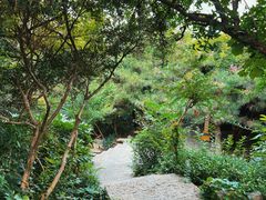 -戏马台景区