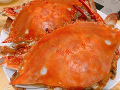 -海岛渔村大酒店(云霄路店)