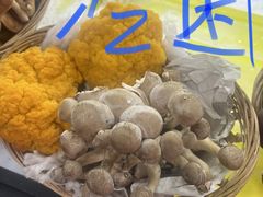 -野菌王•养生汤锅•野生菌火锅(大理漾濞路店)