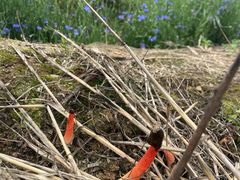 -盘龙城国家考古遗址公园