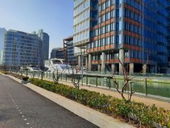 -北外滩滨江绿地