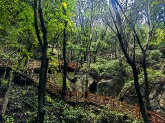 -大岭沟猕猴桃谷风景区