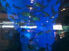 -成都浩海立方海洋公园