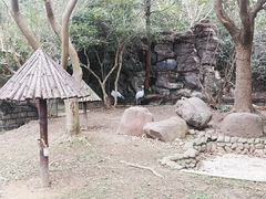 -上海野生动物园