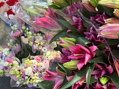 -溪岸路花鸟市场