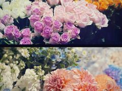 -爱尚幸福鲜花(上地实体店)