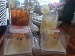 -柴犬高等学院·狗咖·柴犬售卖·宠物训练