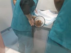 -小伙伴宠物医院·CT·骨科·眼科(高新店)