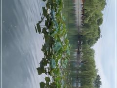 -百花洲