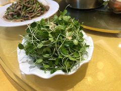 -泰丰楼(前门西大街店)
