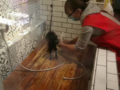 -西元前宠物酒店(郑庄府邸店)