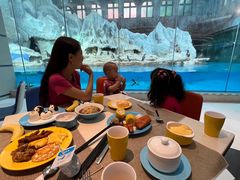 -帝企鹅自助餐厅•儿童岛•真企鹅(长隆企鹅酒店)