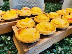 -青岛城阳宝龙福朋喜来登酒店