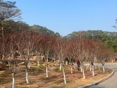 -广州市帽峰山景区