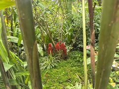 -中国科学院西双版纳热带植物园