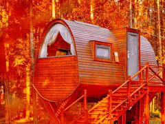 -黄海国家森林公园