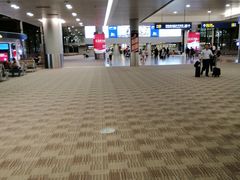 -上海浦东国际机场-T2航站楼