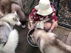 -TrueLove @ Neverland (Husky Cafe)