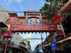 -马六甲鸡场街