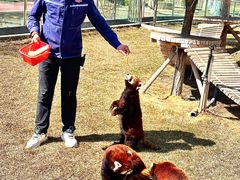 -水上乐园·欢乐世界