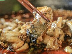 -鸿顺老铁锅美蛙鱼府(解放碑店)