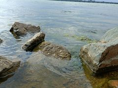 -丁香湖公园